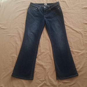 Gap Long & Lean 1969 Jeans